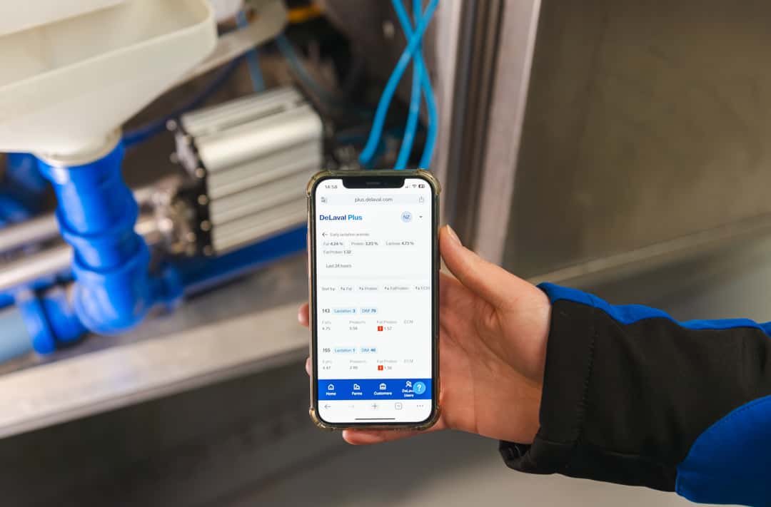 DeLaval Expands VMS V300 Milking Robot with Continuous Milk Analysis - News Directory 3