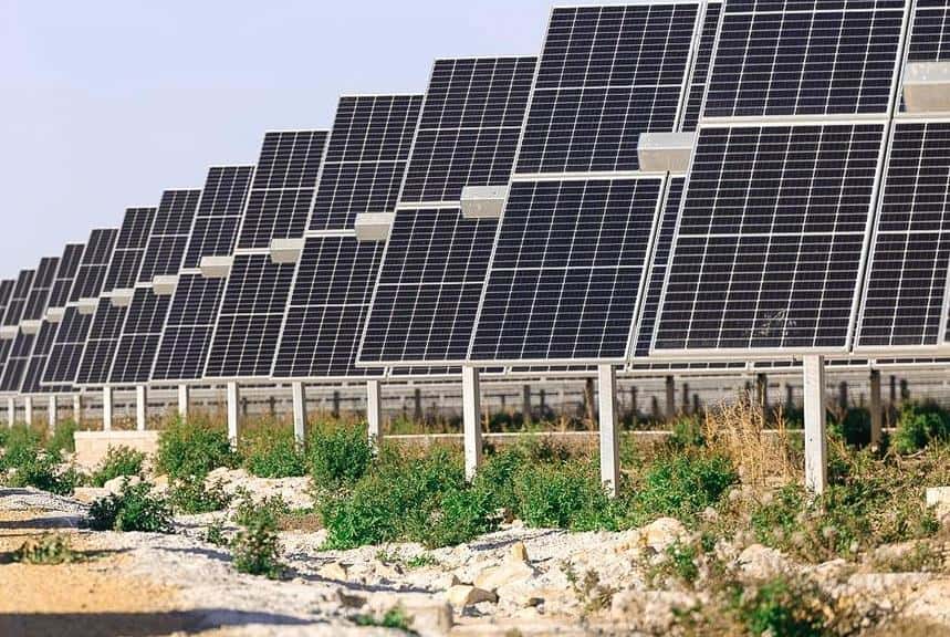 Axpo und RWZ bündeln Kräfte für Solarausbau | profi