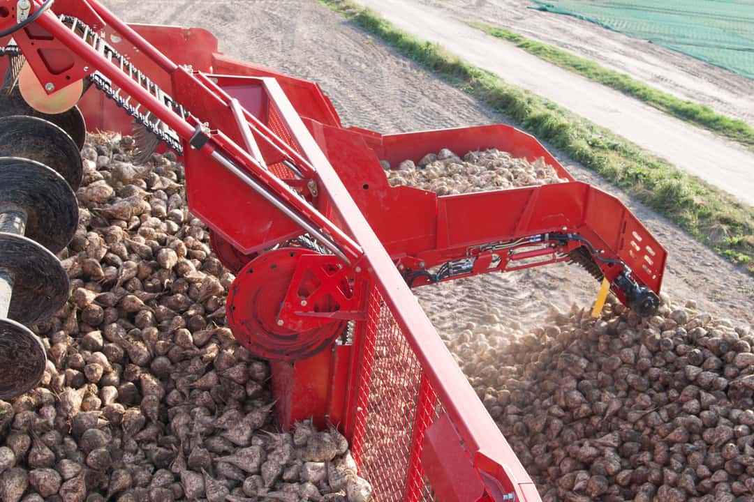 Rexor 620 Grimme: Rexor 620 und 630 | profi