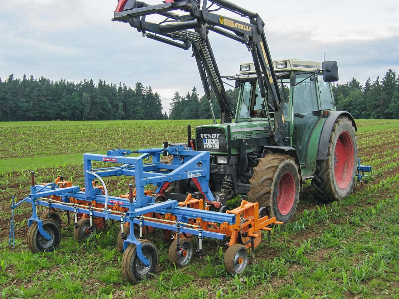 Die Mechanische Unkrautbek mpfung Die Mechanische Unkrautbek mpfung