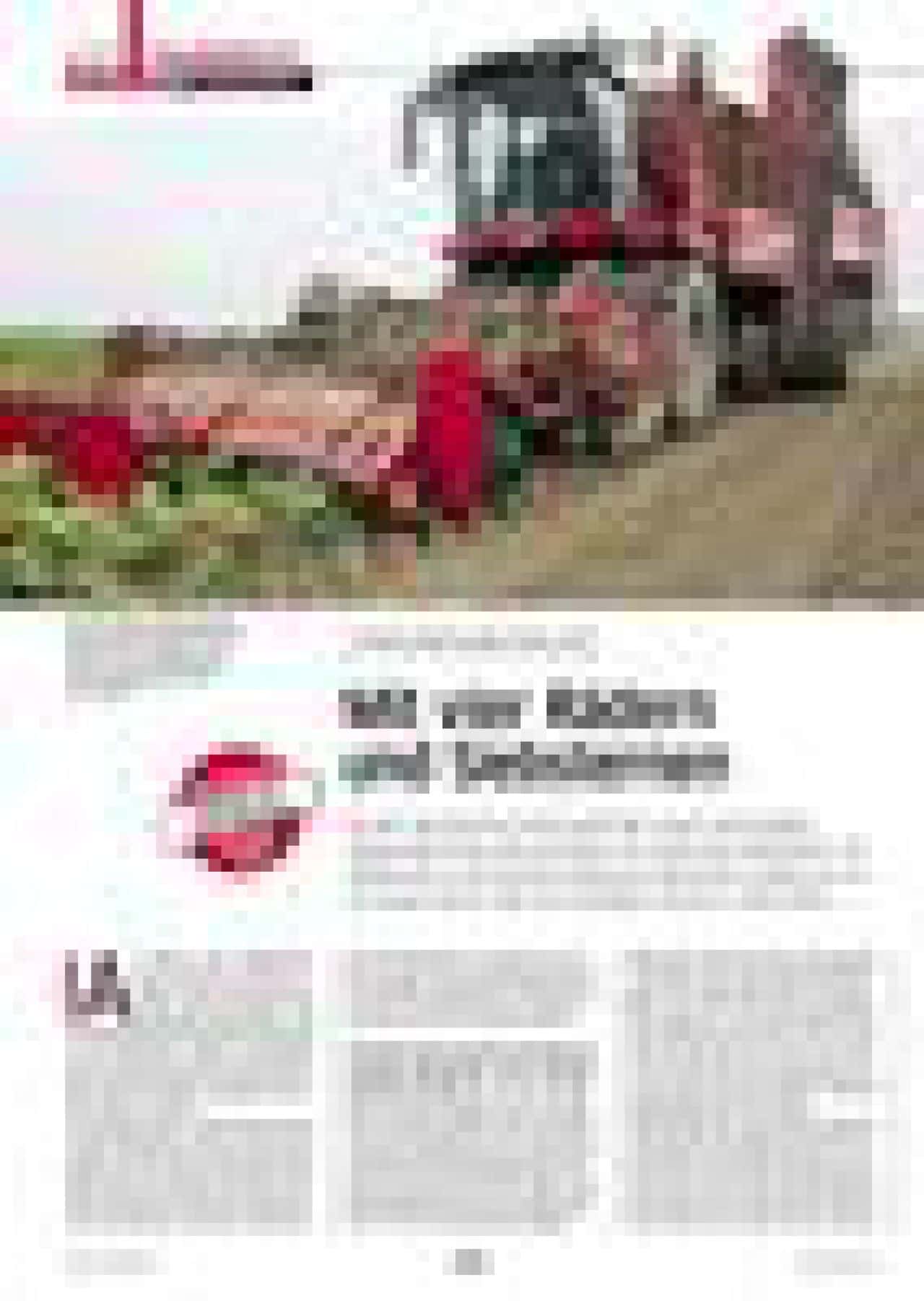 Rexor 620 Grimme Rübenroder Rexor 620: Mit vier Rädern und Siebsternen